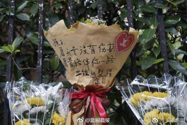 美媒：詹杜库东文VS约字亚卡布 打一轮总决赛你会选谁？